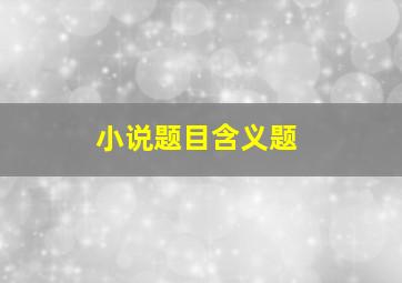 小说题目含义题