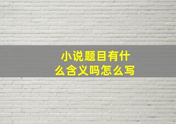 小说题目有什么含义吗怎么写