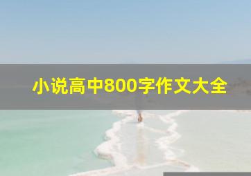 小说高中800字作文大全