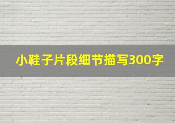 小鞋子片段细节描写300字