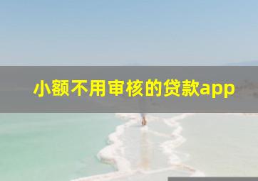 小额不用审核的贷款app