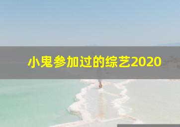 小鬼参加过的综艺2020