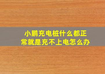 小鹏充电桩什么都正常就是充不上电怎么办