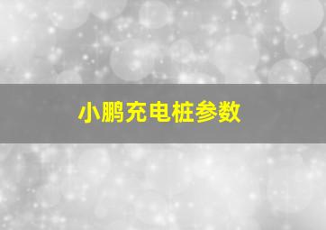 小鹏充电桩参数