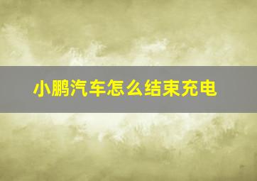 小鹏汽车怎么结束充电