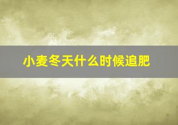 小麦冬天什么时候追肥