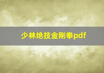 少林绝技金刚拳pdf