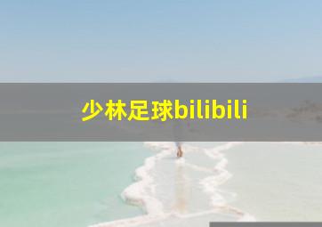 少林足球bilibili