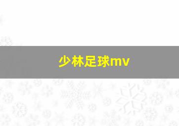 少林足球mv