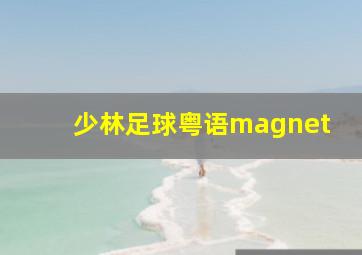 少林足球粤语magnet