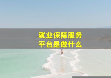 就业保障服务平台是做什么