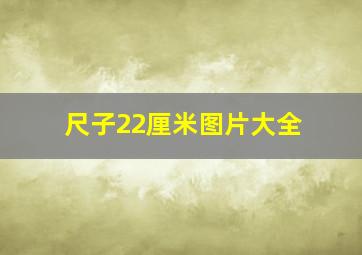 尺子22厘米图片大全