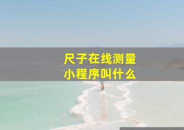 尺子在线测量小程序叫什么