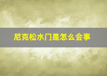 尼克松水门是怎么会事