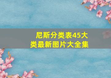 尼斯分类表45大类最新图片大全集