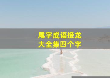 尾字成语接龙大全集四个字