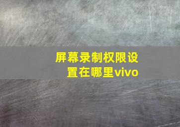 屏幕录制权限设置在哪里vivo