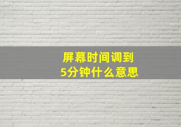 屏幕时间调到5分钟什么意思