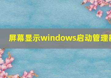 屏幕显示windows启动管理器