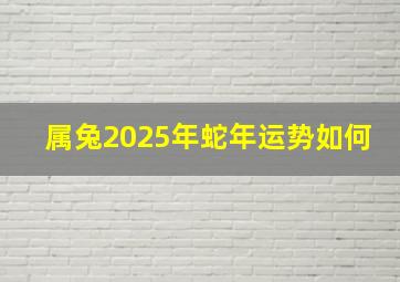 属兔2025年蛇年运势如何