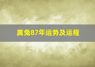 属兔87年运势及运程