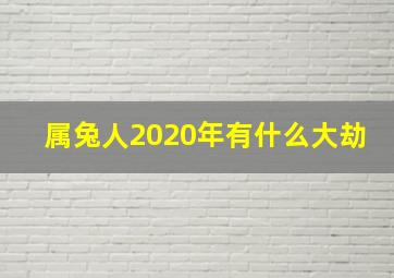 属兔人2020年有什么大劫