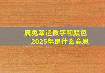 属兔幸运数字和颜色2025年是什么意思