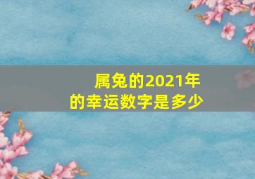 属兔的2021年的幸运数字是多少