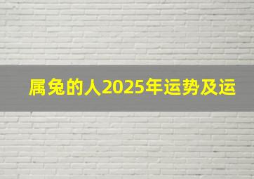 属兔的人2025年运势及运