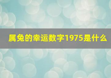 属兔的幸运数字1975是什么