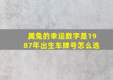 属兔的幸运数字是1987年出生车牌号怎么选