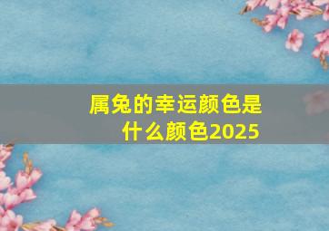 属兔的幸运颜色是什么颜色2025