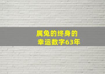 属兔的终身的幸运数字63年