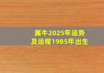 属牛2025年运势及运程1985年出生