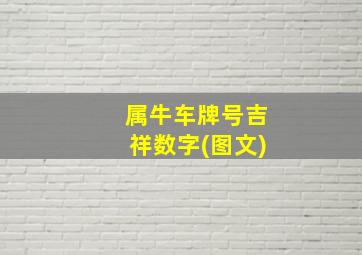 属牛车牌号吉祥数字(图文)