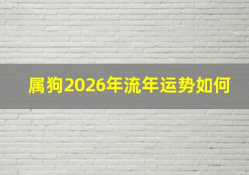 属狗2026年流年运势如何