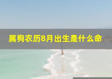 属狗农历8月出生是什么命