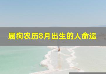 属狗农历8月出生的人命运