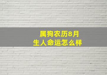 属狗农历8月生人命运怎么样