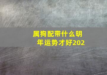 属狗配带什么明年运势才好202