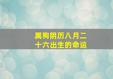 属狗阴历八月二十六出生的命运