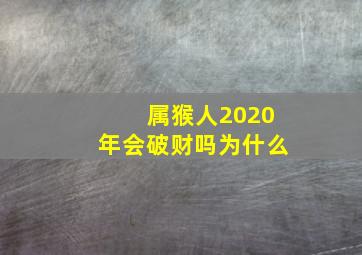 属猴人2020年会破财吗为什么