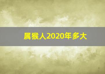 属猴人2020年多大