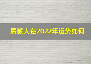 属猴人在2022年运势如何