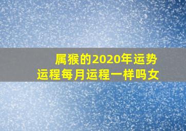 属猴的2020年运势运程每月运程一样吗女