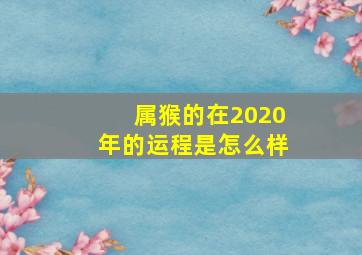 属猴的在2020年的运程是怎么样