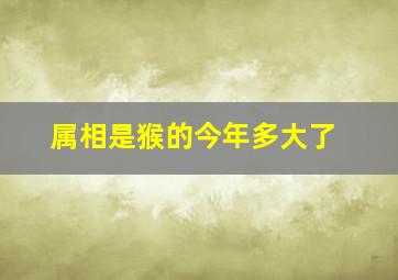 属相是猴的今年多大了