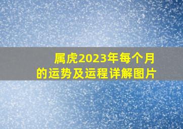 属虎2023年每个月的运势及运程详解图片