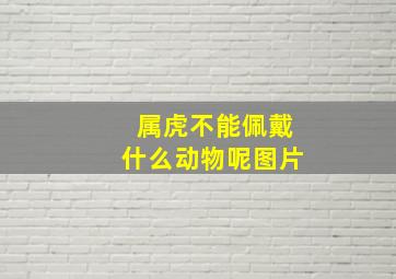 属虎不能佩戴什么动物呢图片