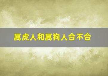 属虎人和属狗人合不合